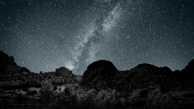 鱼缸有哪些寿命比较长的草推荐呢？